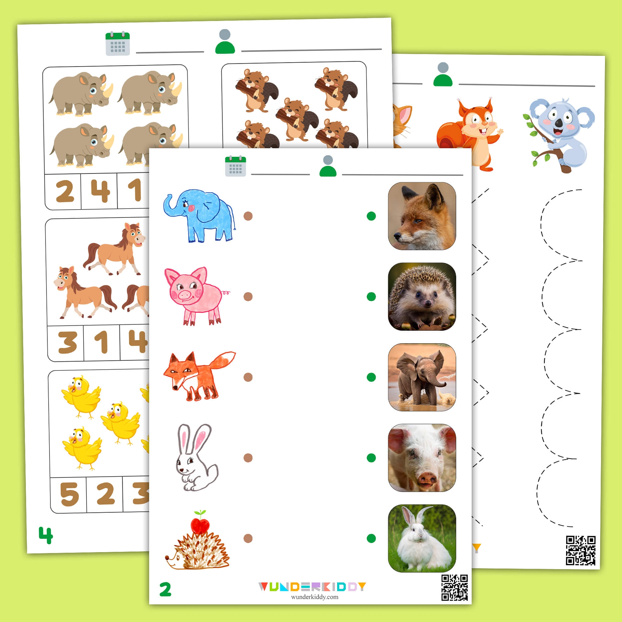Printable Mammal Worksheets For Kindergarten