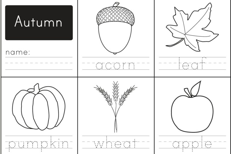 Free Autumn Printable Worksheets