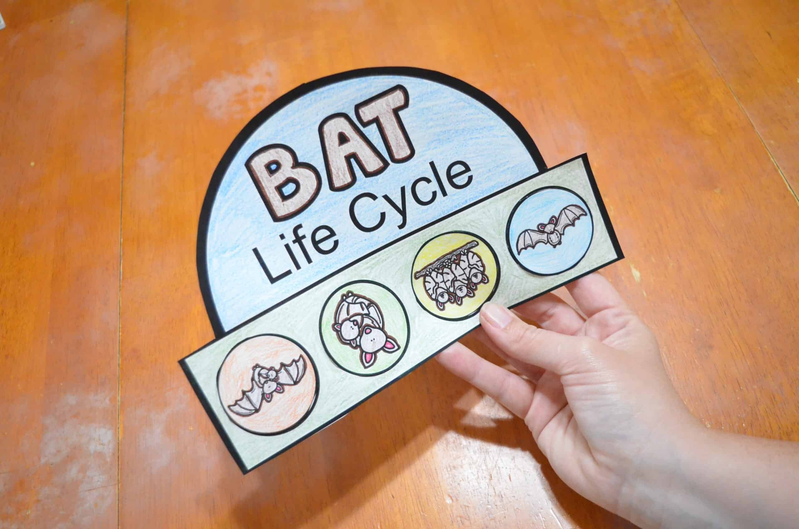 Free Printable Bat Worksheets