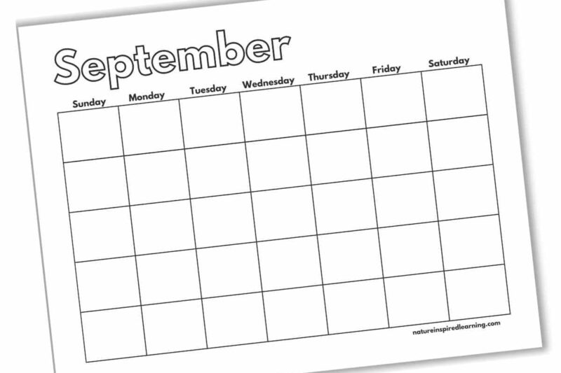 Free Printable Blank Preschool Calendar
