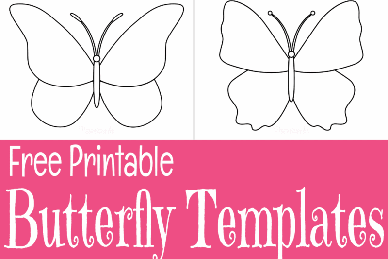 Free Printable Butterfly Templates For Preschool