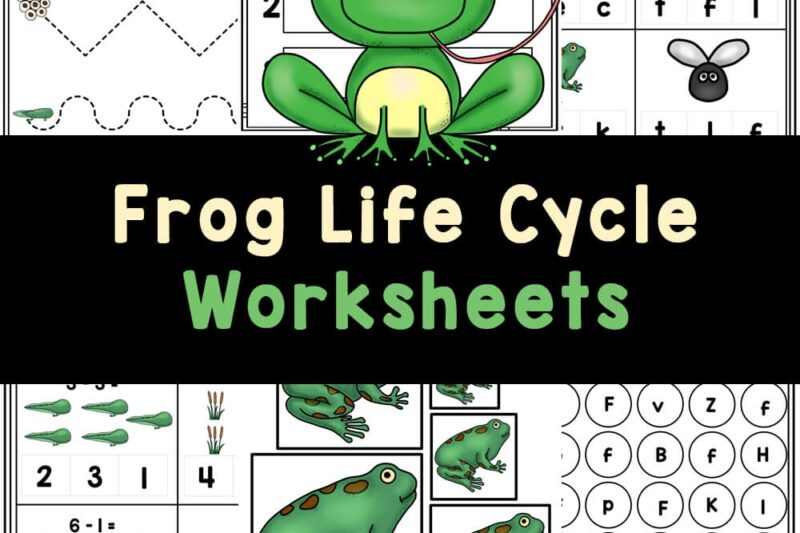 Free Printable Frog Worksheets