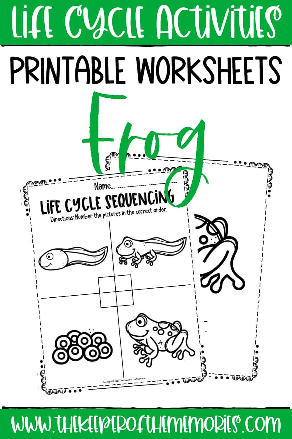 Frog Life Cycle Free Printable Worksheets Frog Life Cycle Free Printable Worksheets