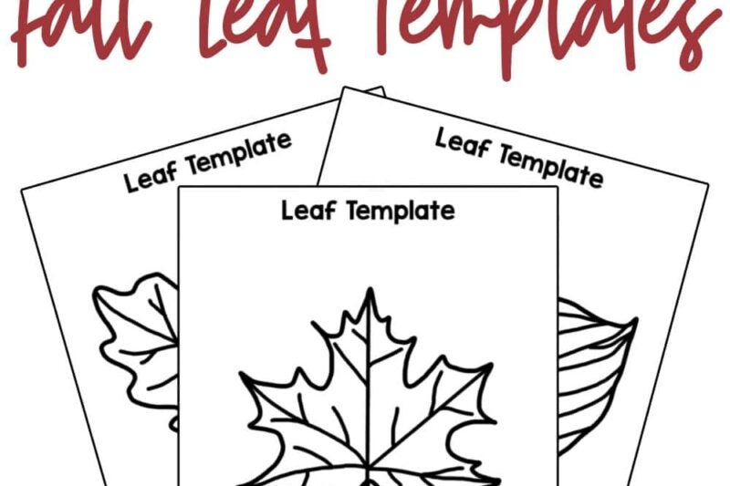 Free Preschool Leaf Printables