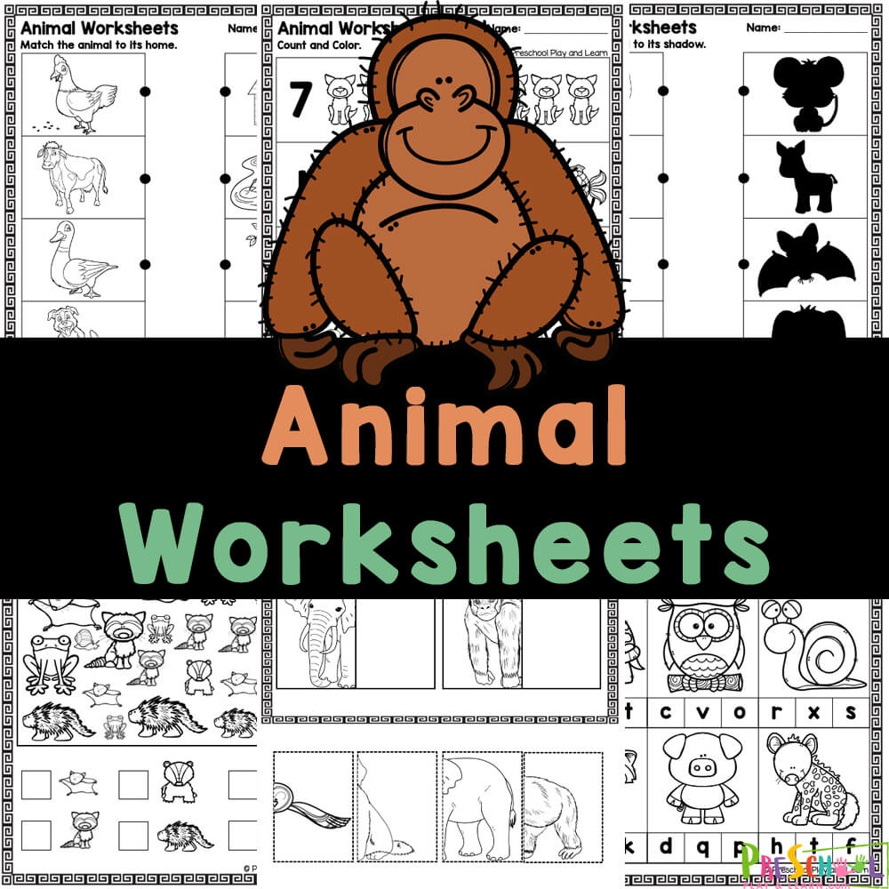 FREE Printable Preschool Animal Worksheets