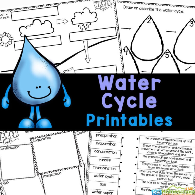 Free Printable Bodies Of Water Worksheets