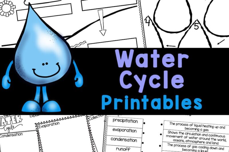 Free Printable Water Cycle Worksheets