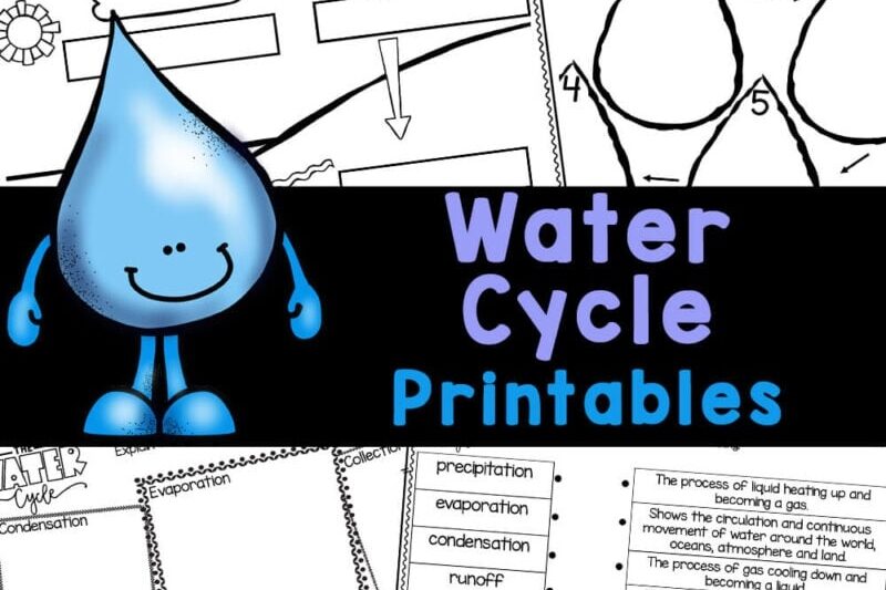 Bodies Of Water Preschool Printable