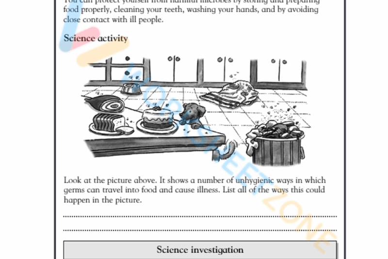 Free Printable 5th Grade Science Worksheets