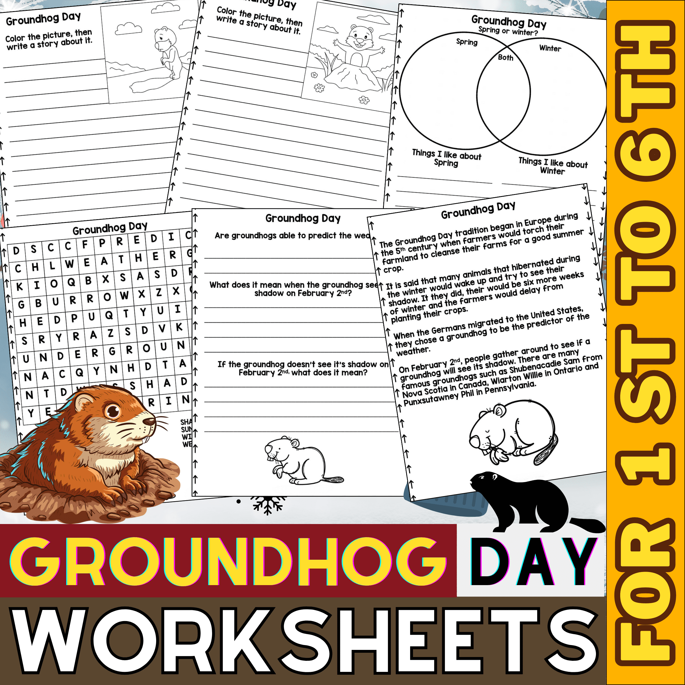 Groundhog Day Activities And Worksheets No Prep For 1st To 6th 