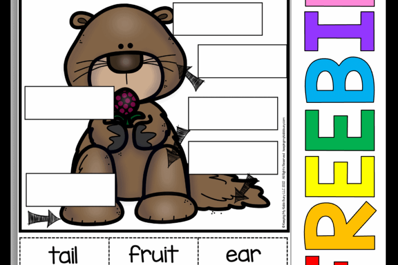 Groundhog Worksheets For Kindergarten Free