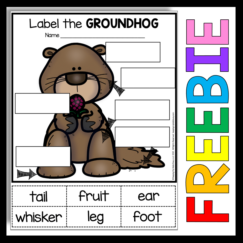 Groundhog Day In Kindergarten And First Grade FREEBIE Keeping My 