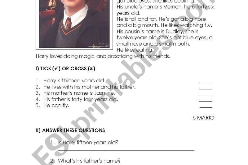 Harry Potter Reading Comprehension Worksheets