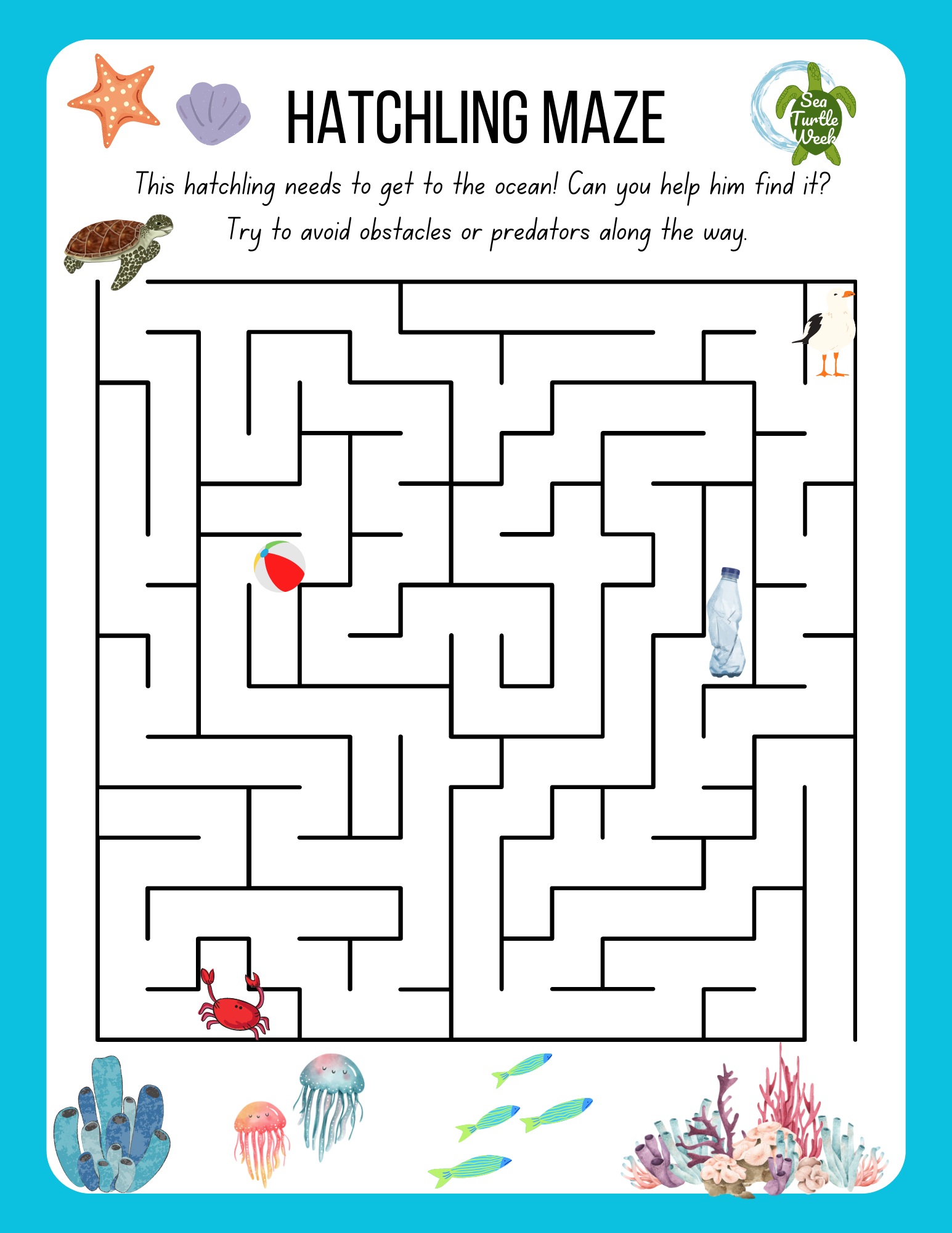 Hatchling Maze SeaTurtleWeek