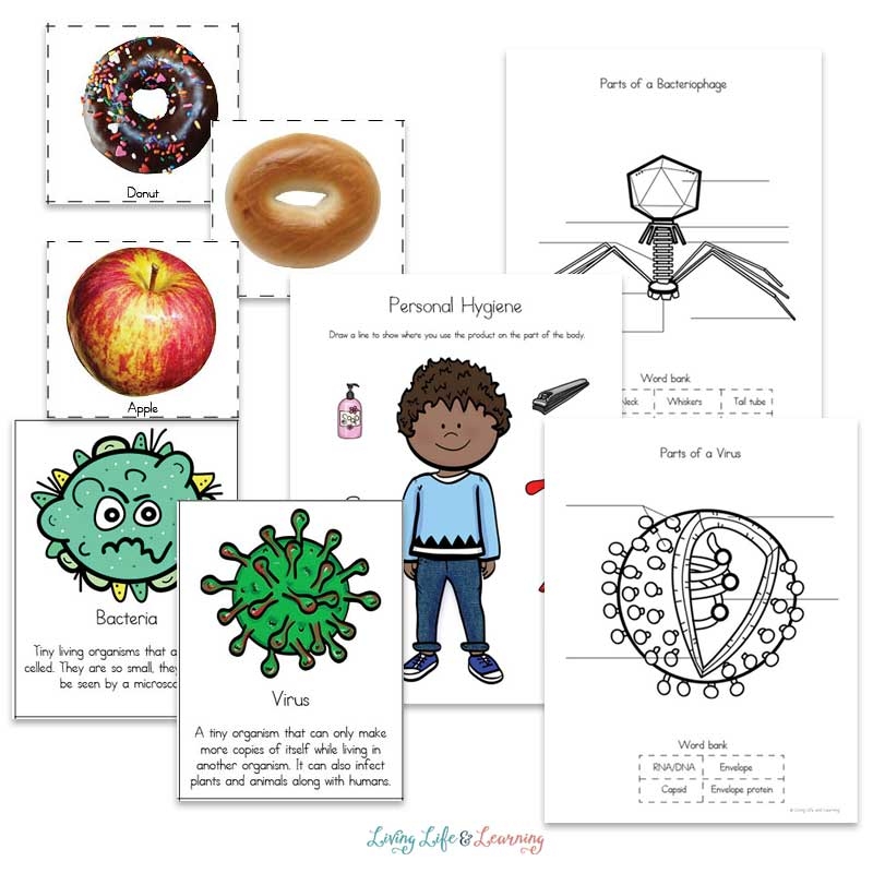 Health Worksheets For Kids Worksheets Library