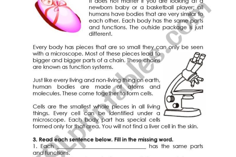 Free Human Body Reading Comprehension Worksheets