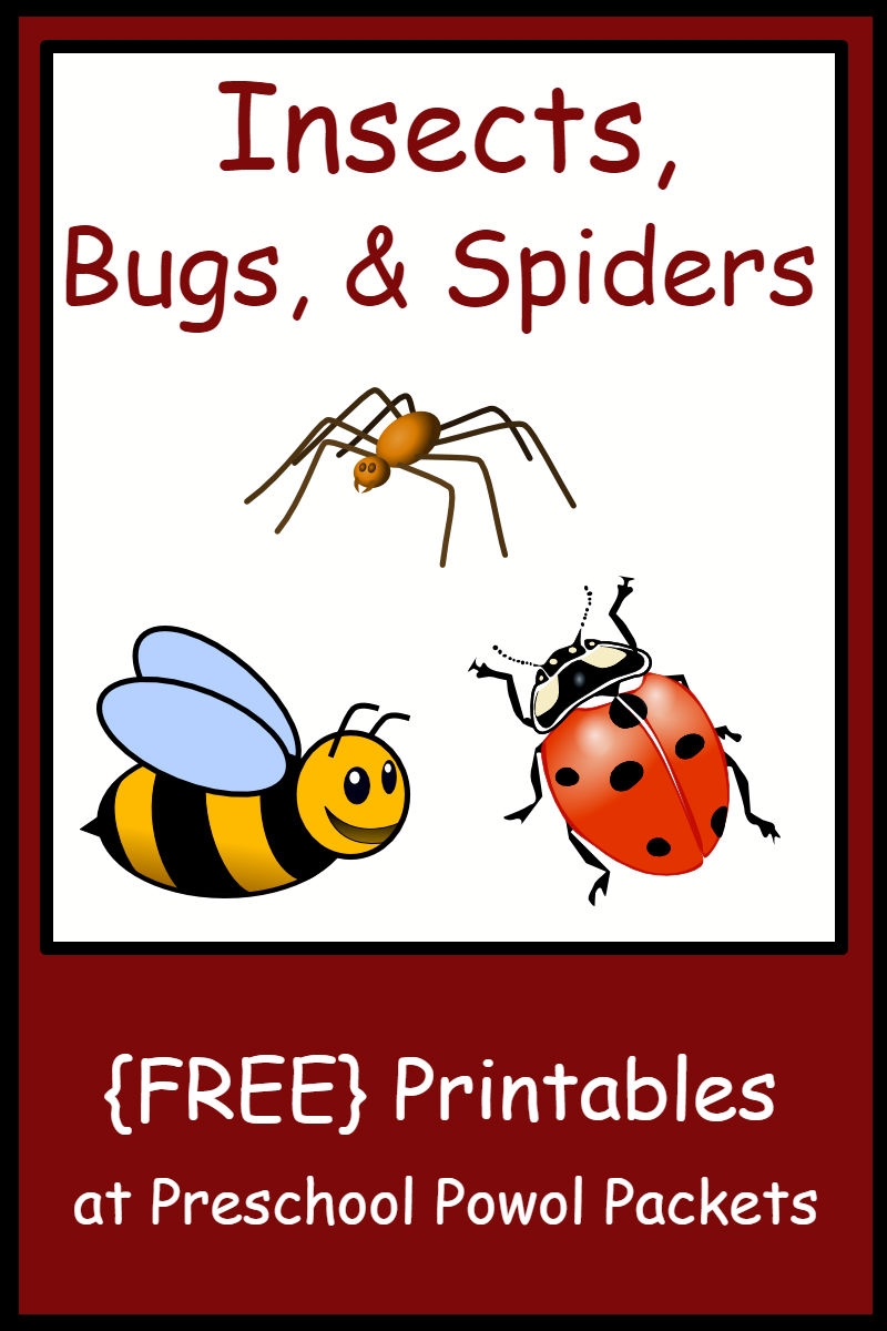 Insect Bug U0026 Spider Themed FREE Preschool Printables