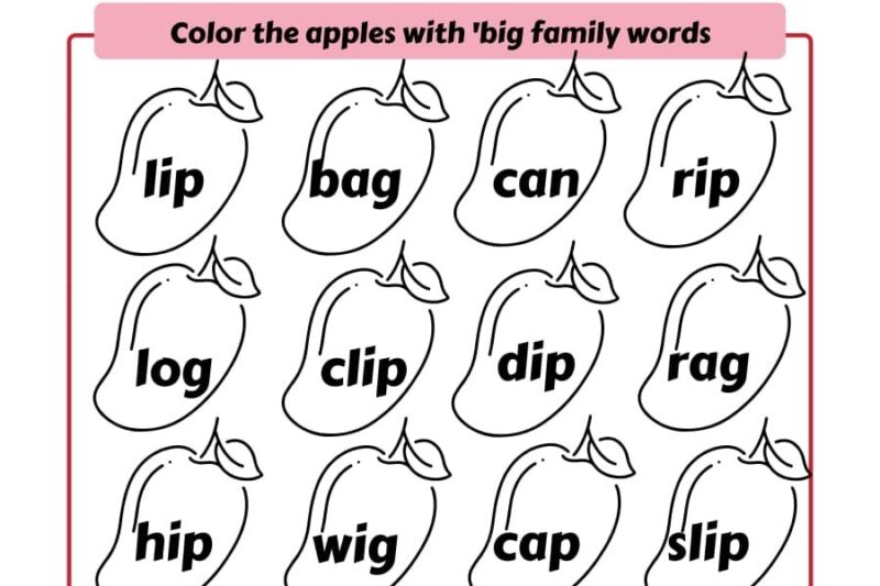 Ip Word Family Worksheets Kindergarten