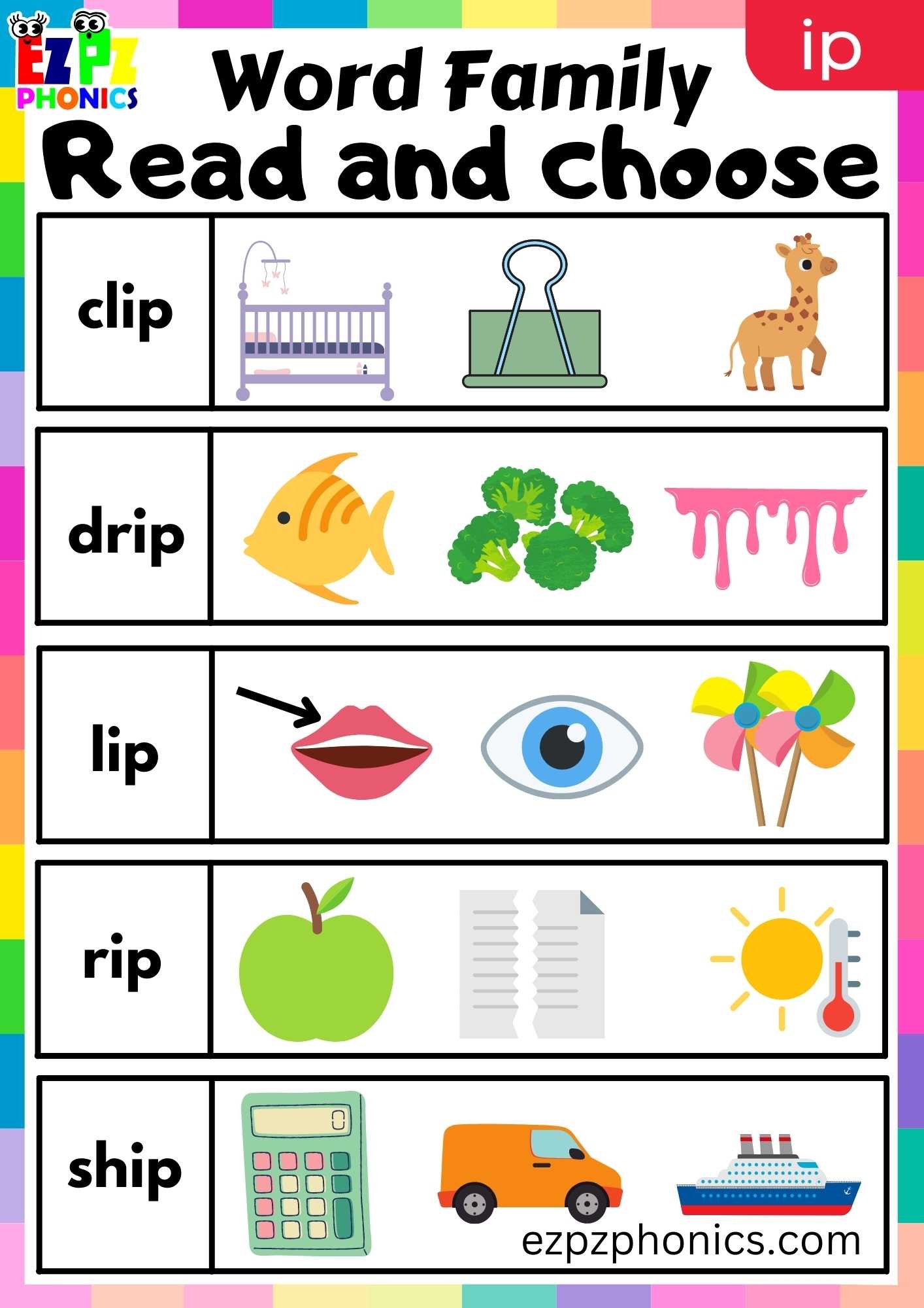 IP Words Read And Choose Phonics Word Families Worksheet 