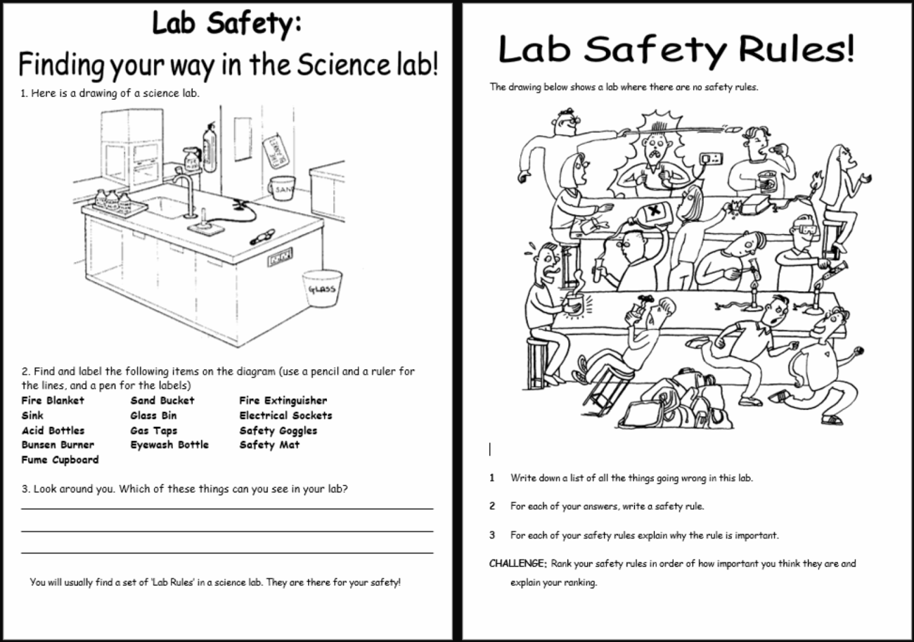 Lab And Experiment Safety 58 OFF Worksheets Library