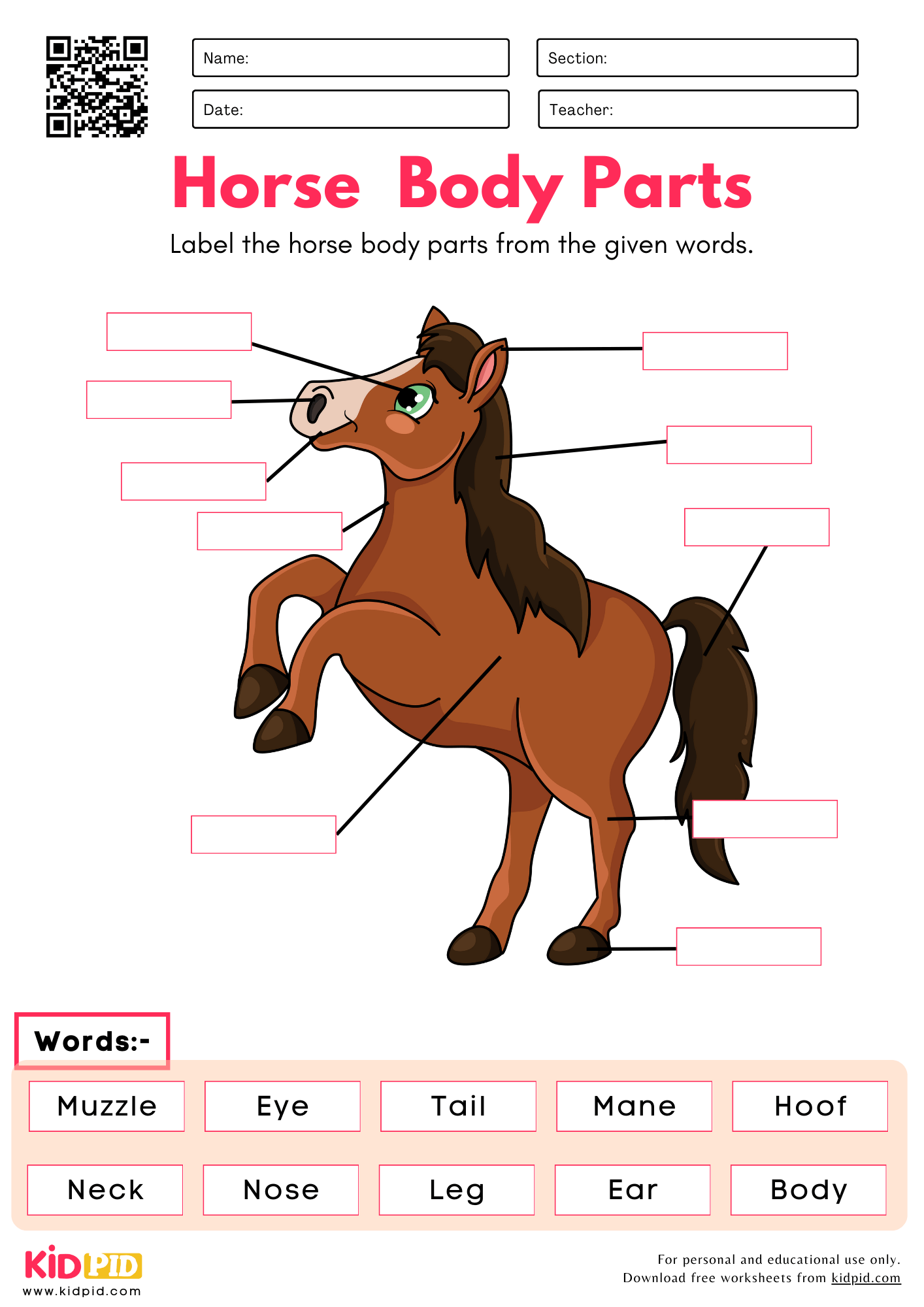 Label The Horse Body Parts Worksheet Kidpid