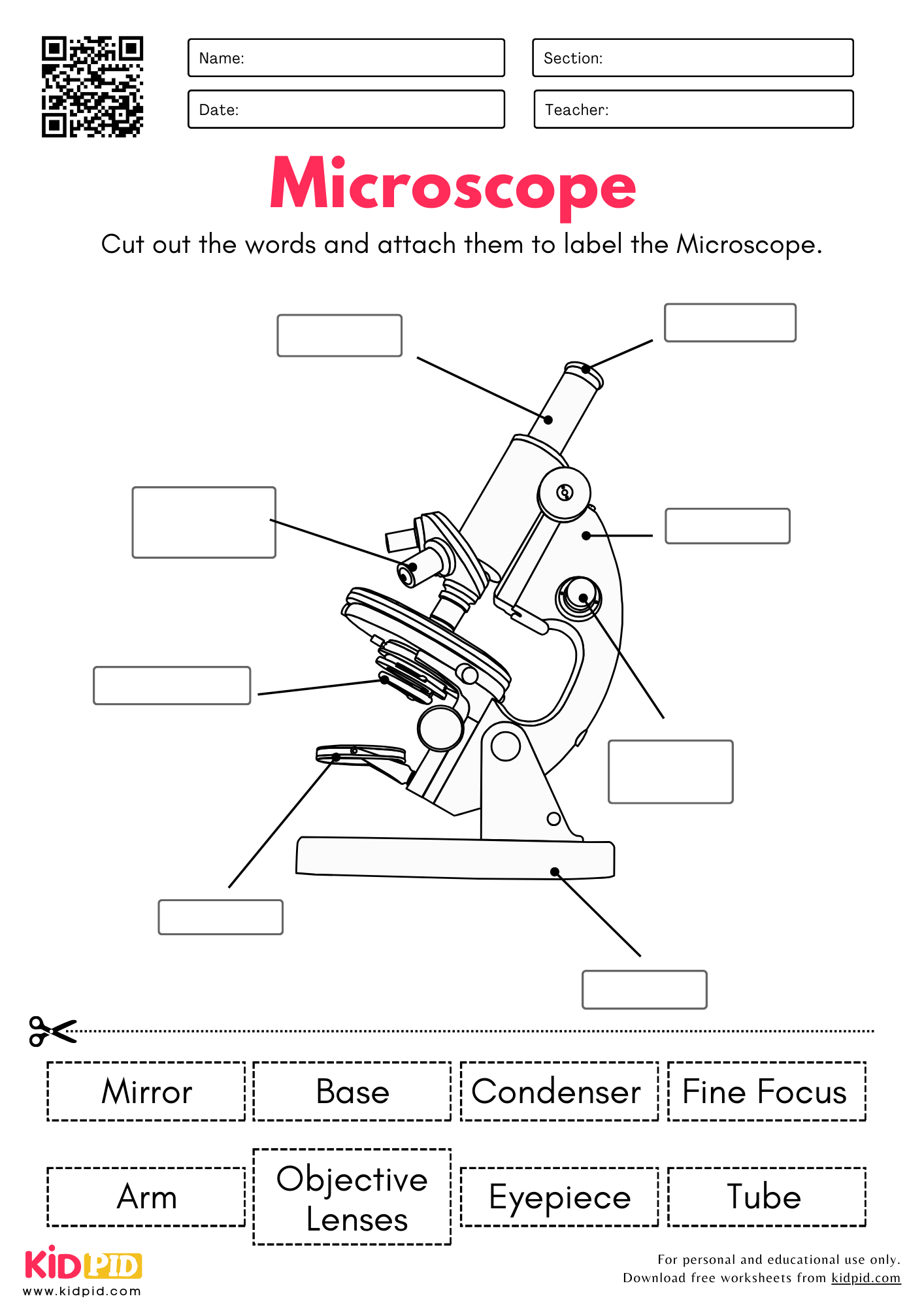 Free Printable 5th Grade Science Worksheets Free Printable 5th Grade Science Worksheets
