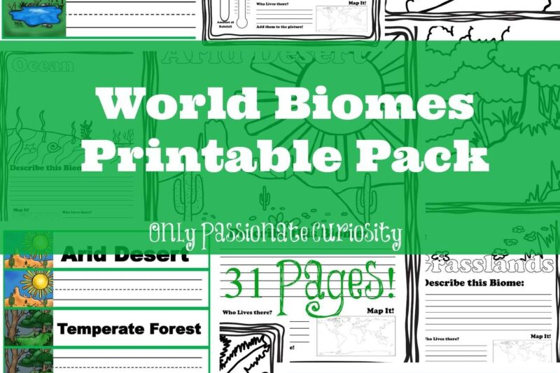 Free Printable Biomes Worksheets
