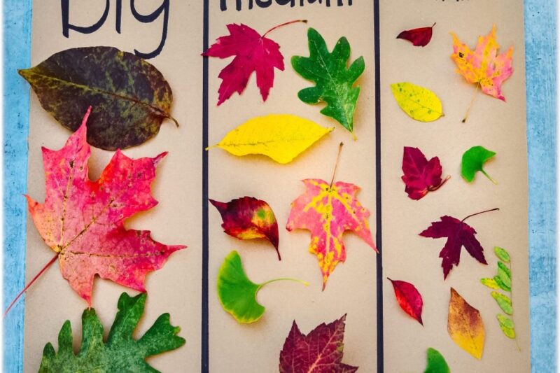 Size Seriation For Preschool Free Printable