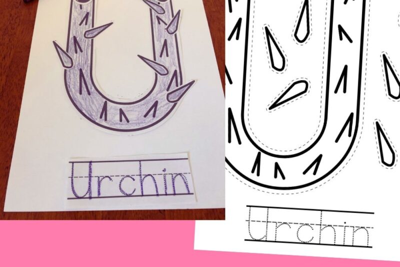 Urchin Preschool Printables