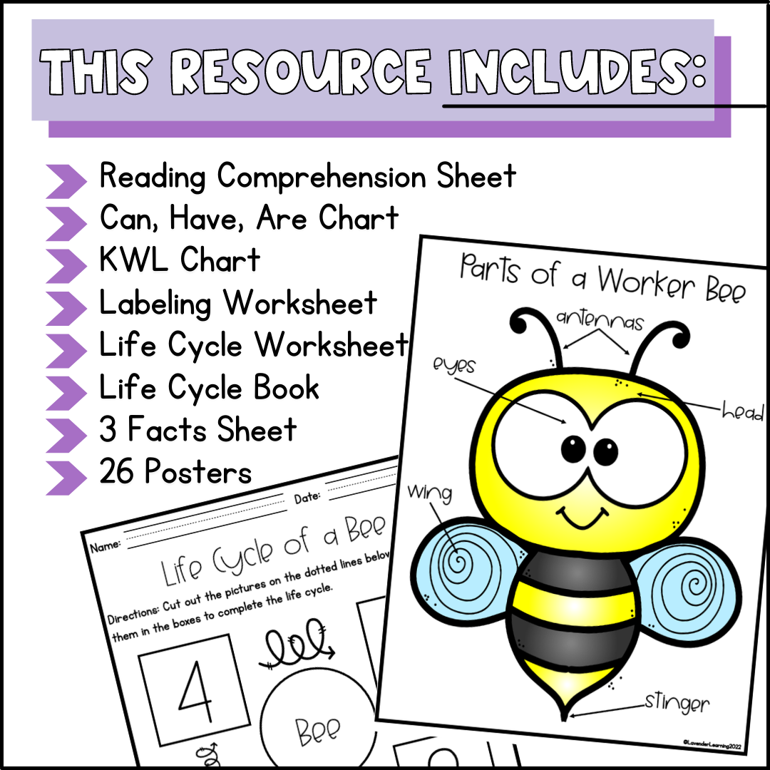 Free Printable Bee Worksheets