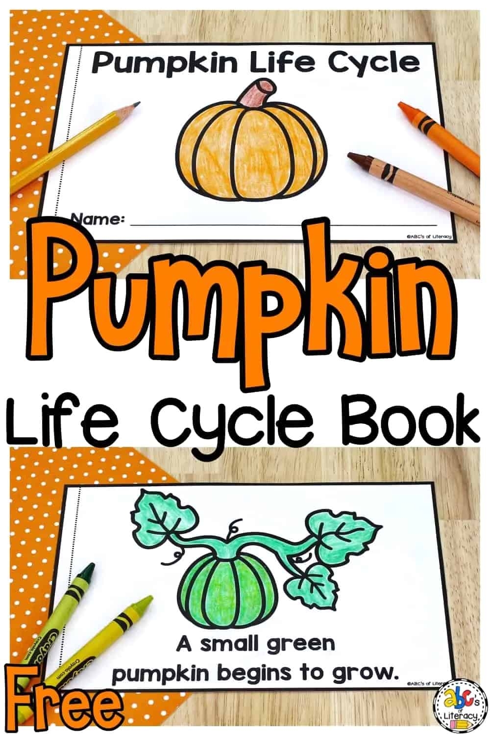 Life Cycle Of A Pumpkin Book Free Printable Science Book