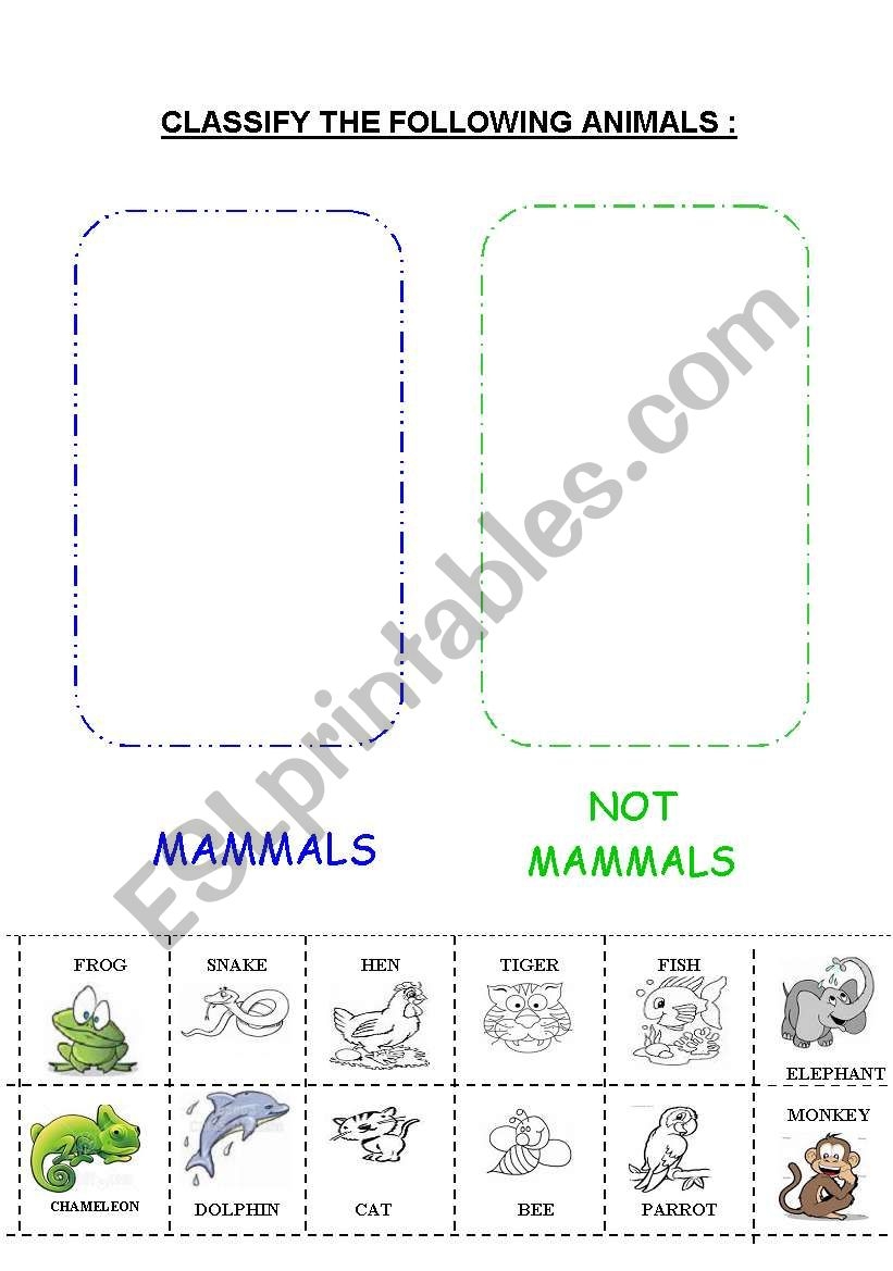 MAMMALS ESL Worksheet By Escolapia