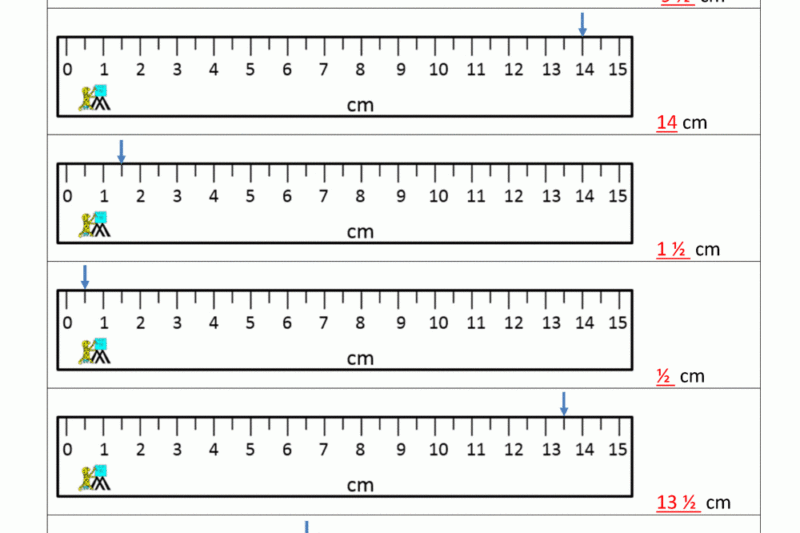 Free Printable Measurement Worksheets Grade 3