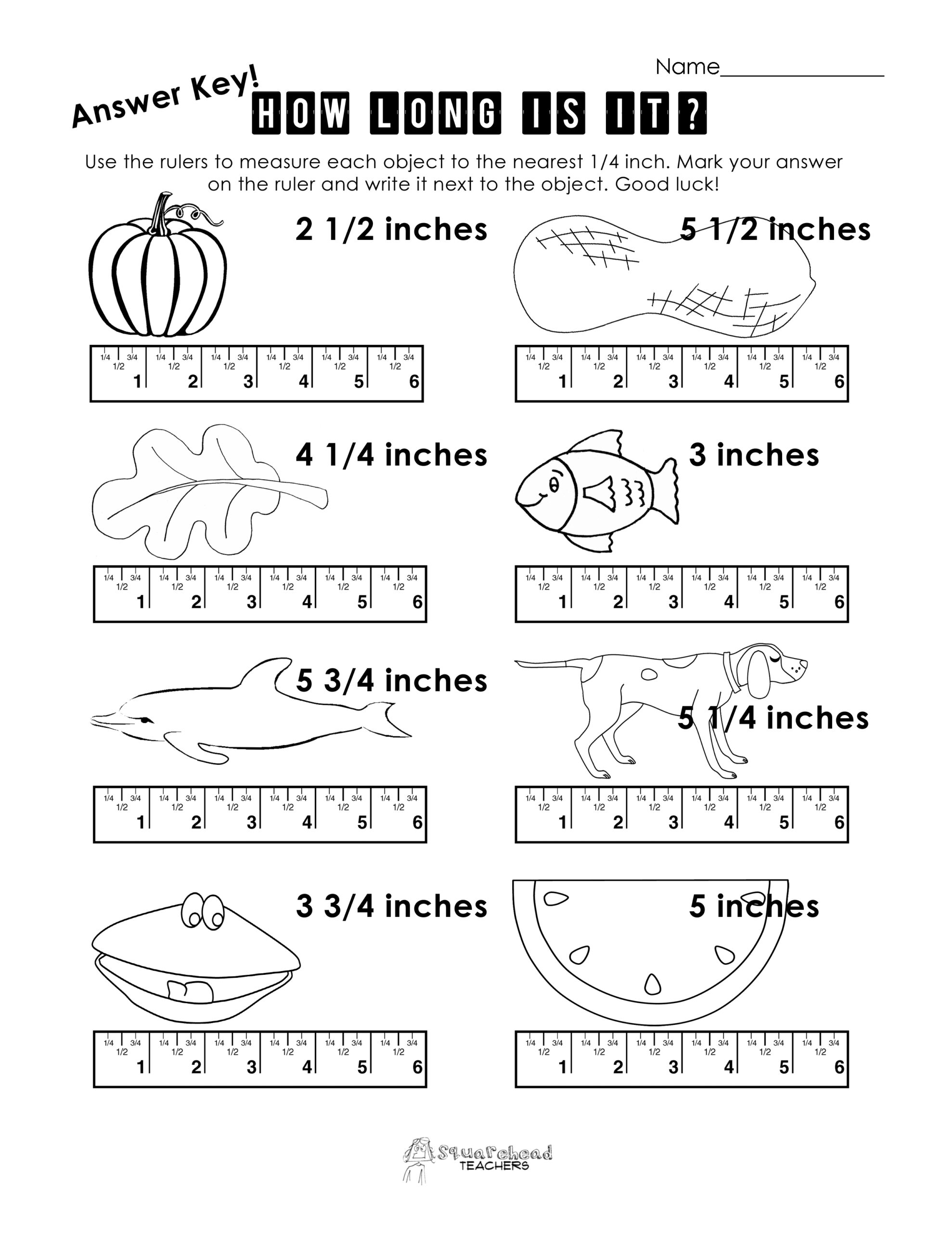 Measurement Practice 2 Squarehead Teachers Worksheets Library Measurement Practice 2 Squarehead Teachers Worksheets Library