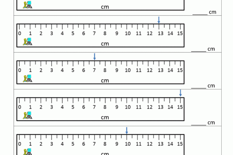 3rd Grade Measurement Worksheets Free Printable