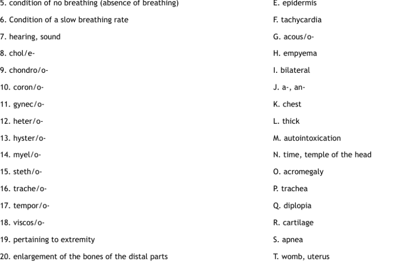 Beginner Free Printable Medical Terminology Worksheets