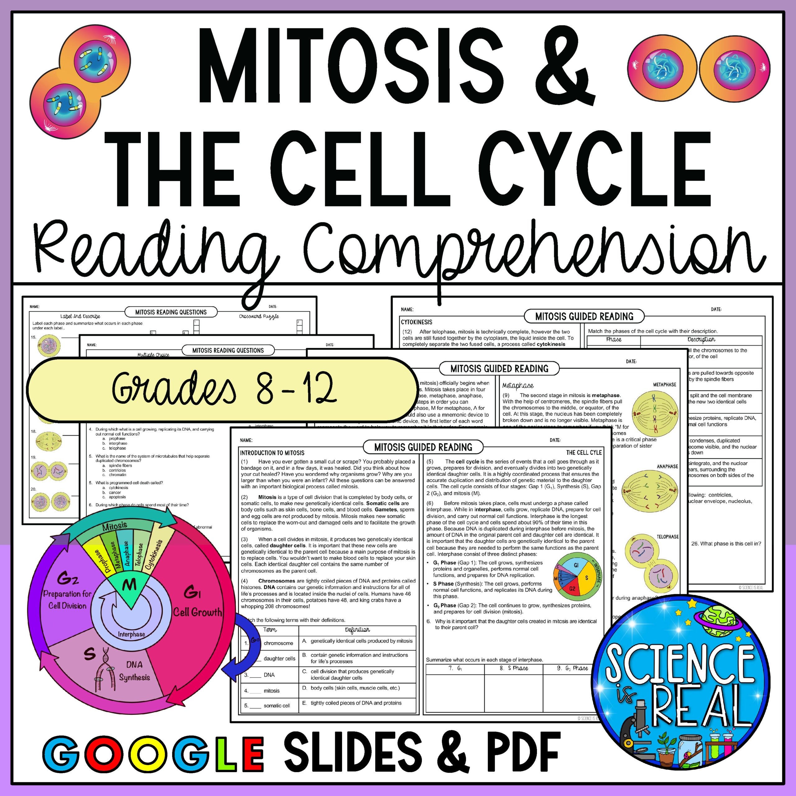 Mitosis Reading Comprehension And Questions Classful