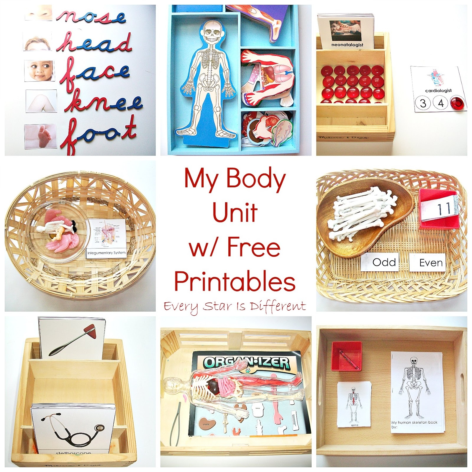My Body Unit W Free Printables Every Star Is Different