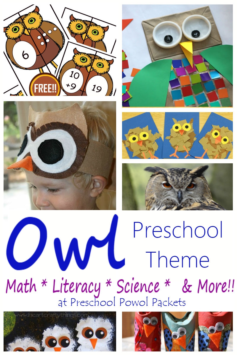 Owl Activities For A Owl Preschool Theme