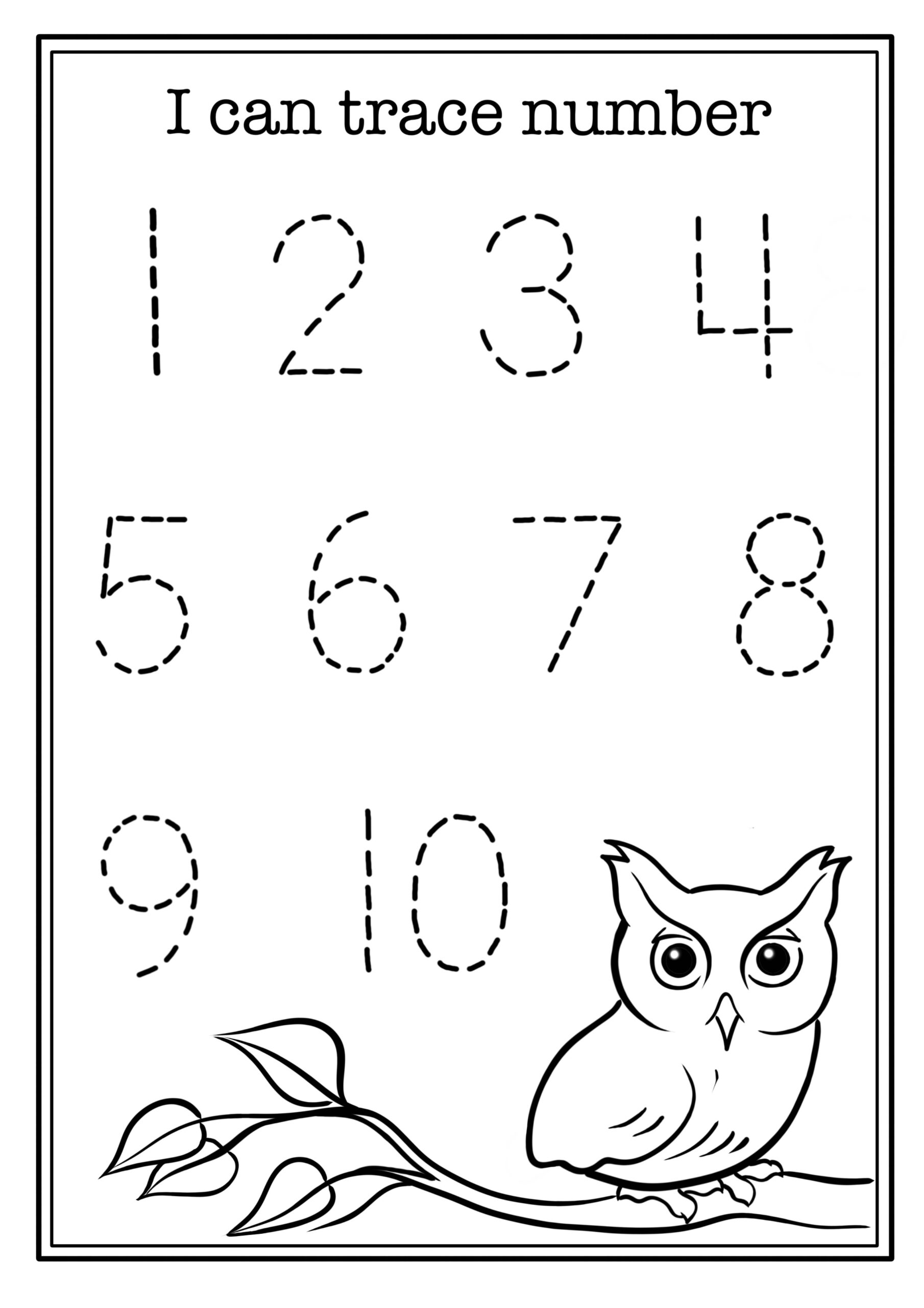 Owl Craft For Preschool Students TeachersMag
