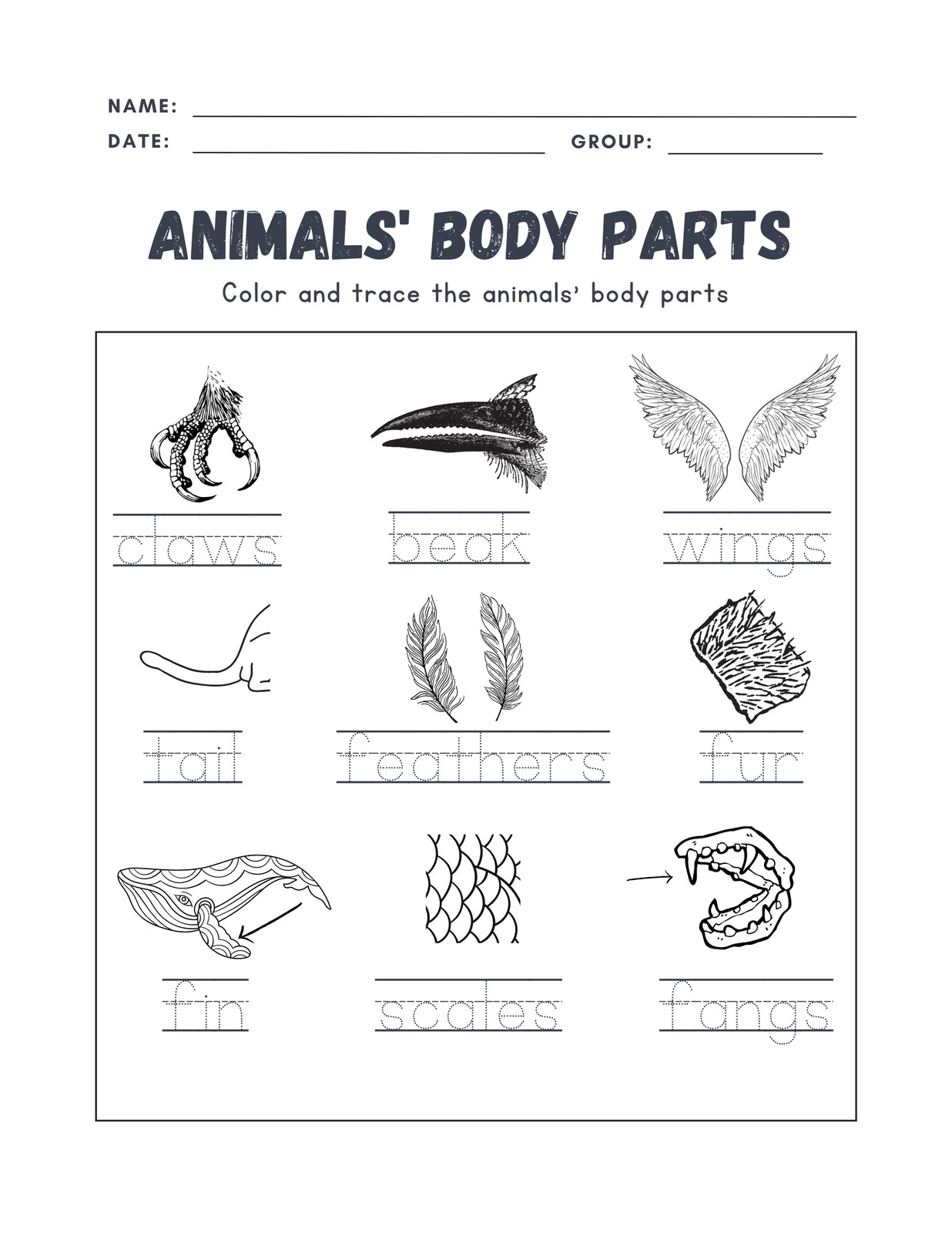 Page 7 Free Custom Printable Animal Worksheet Templates Canva