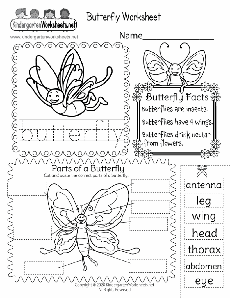 Free butterfly worksheets kindergarten worksheets template free