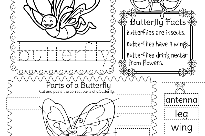 Free Butterfly Worksheets For Kindergarten