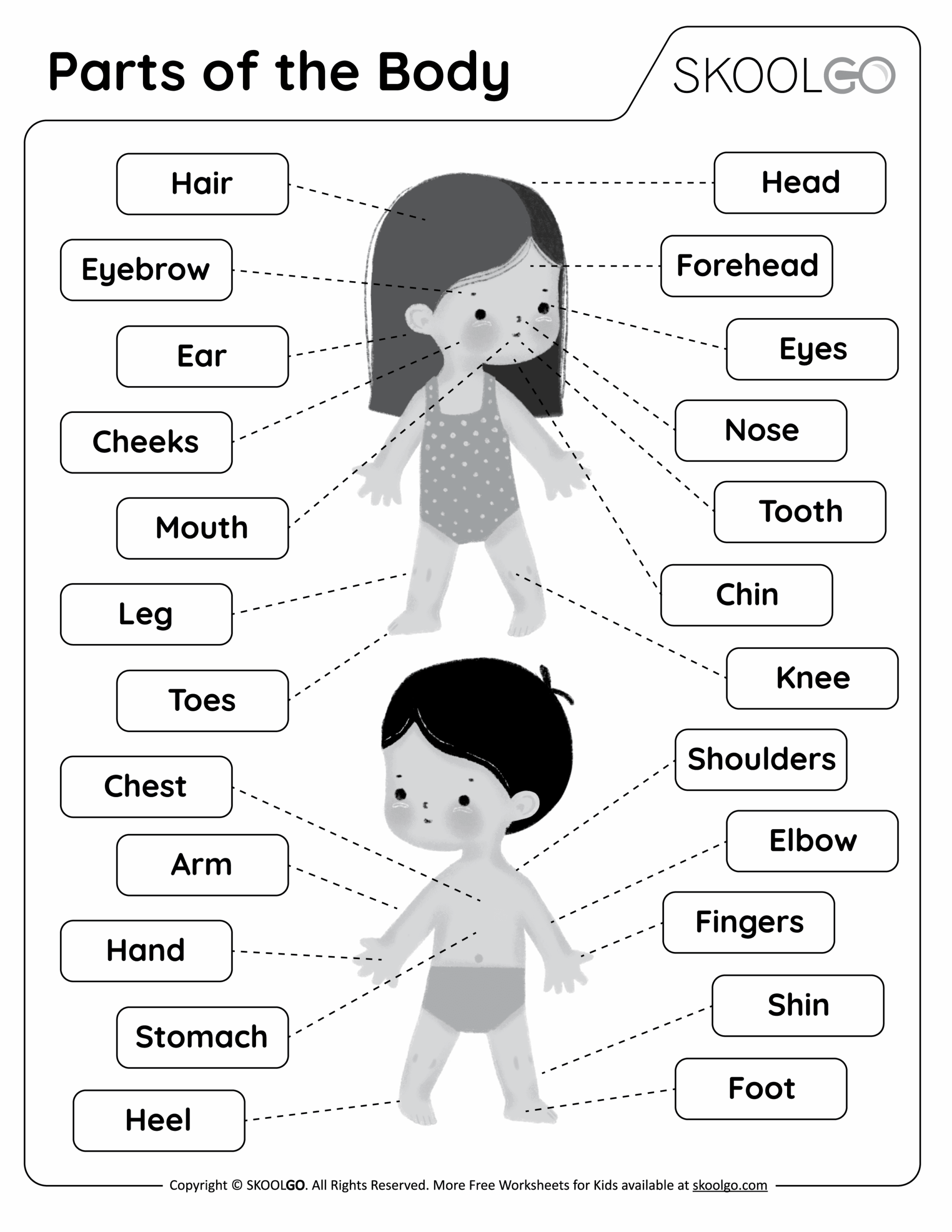 Parts Of The Body Free Worksheet SKOOLGO Worksheets Library