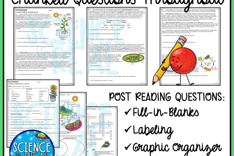 Photosynthesis Reading Comprehension Worksheet