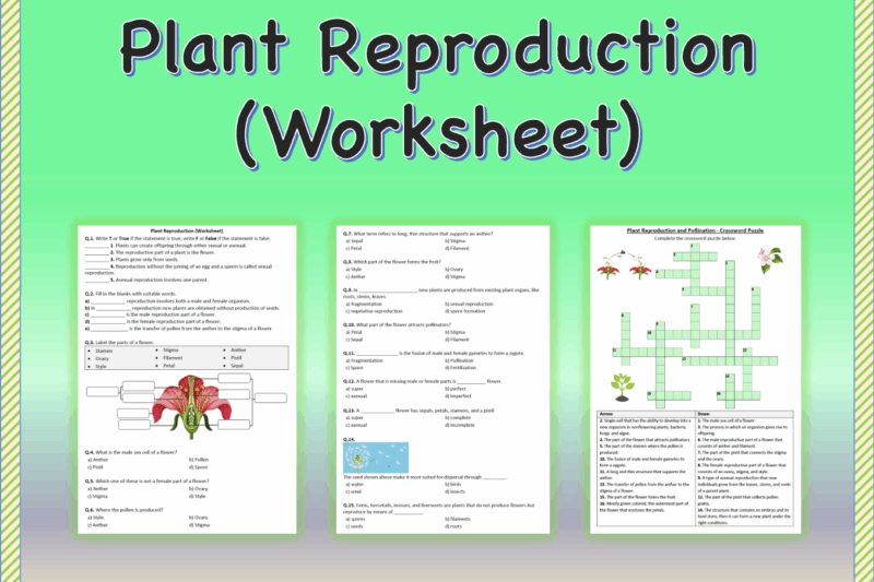 Free Printable Worksheets On Plant Reproduction