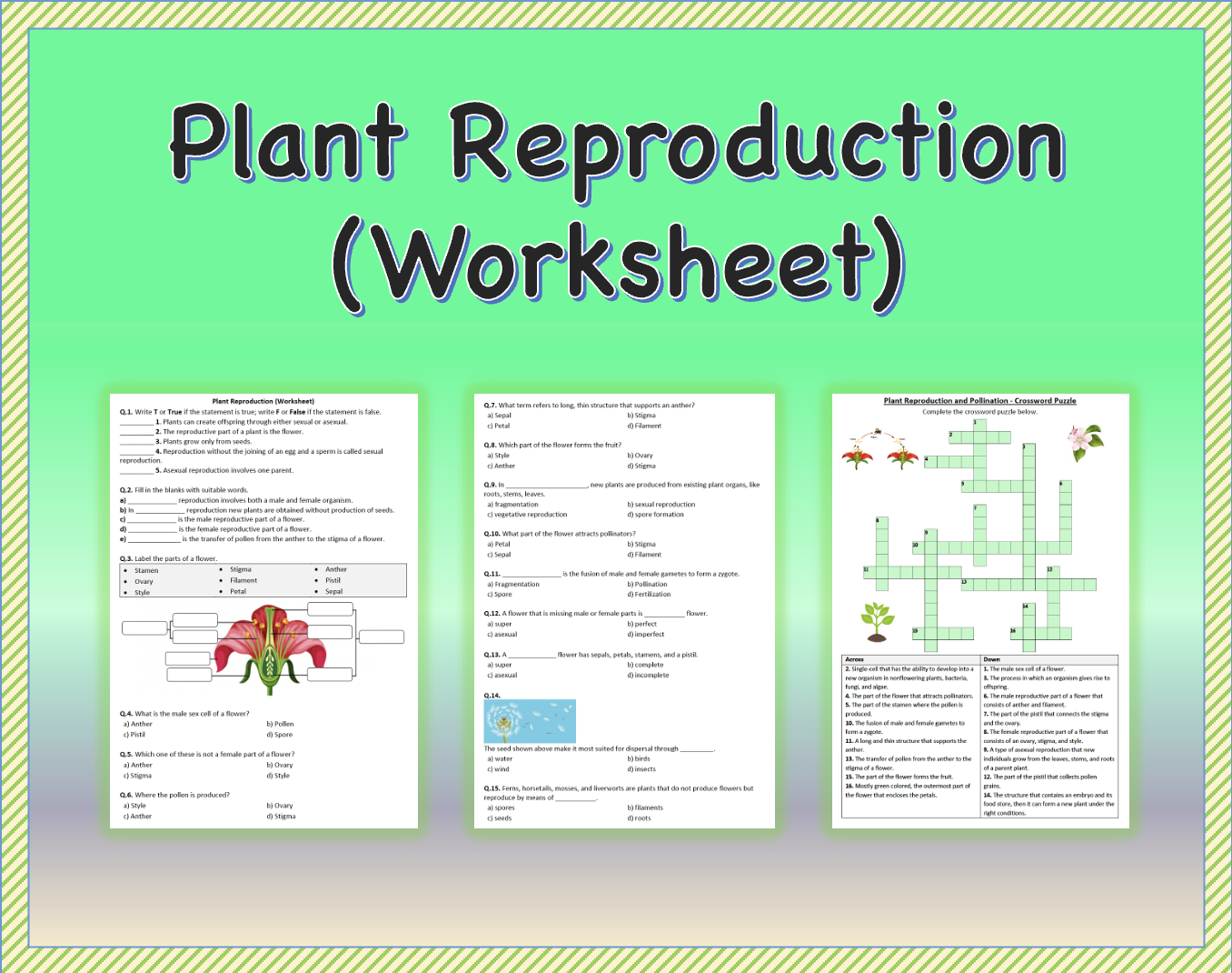 Plant Reproduction Worksheet Printable And Distance Learning Made By Teachers