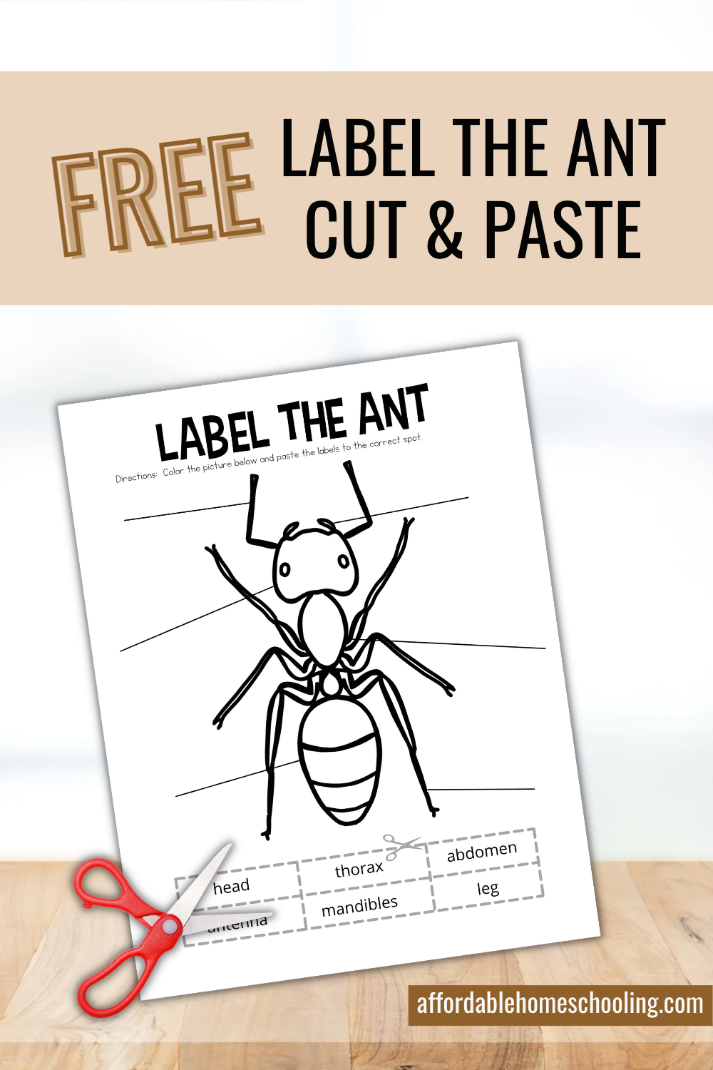 Printable Ant Body Parts Worksheet For Preschoolers Printable Ant Body Parts Worksheet For Preschoolers