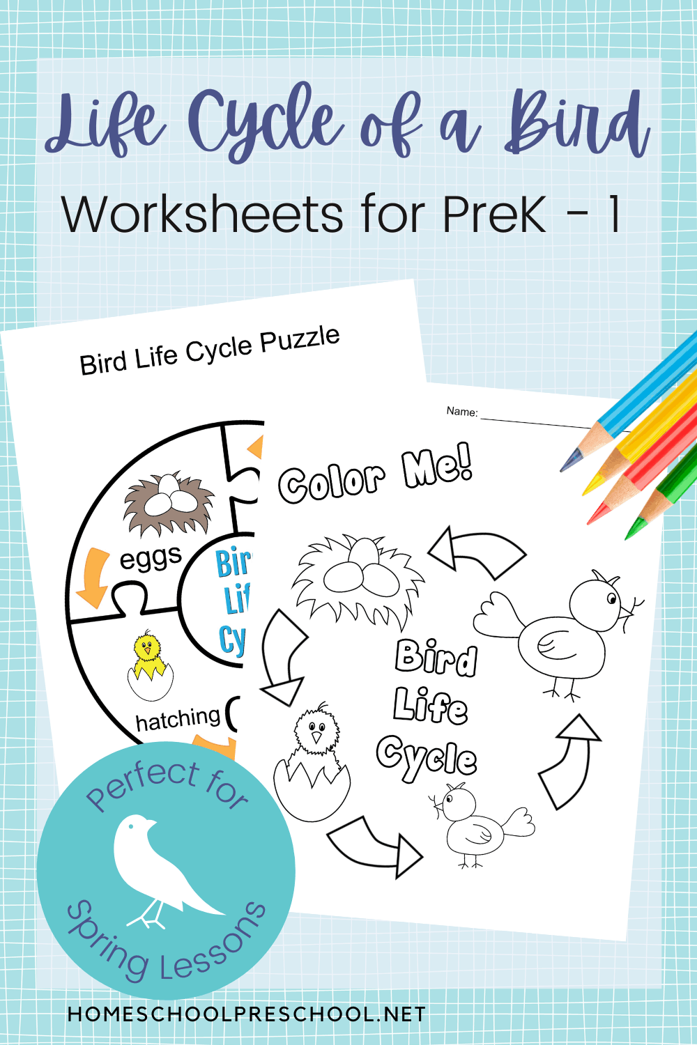 Printable Life Cycle Of A Bird Worksheets For Preschool