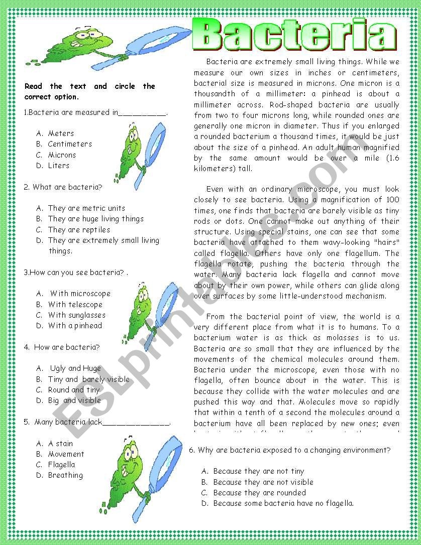 Reading Comprehension Bacteria ESL Worksheet By La Mente Maestra